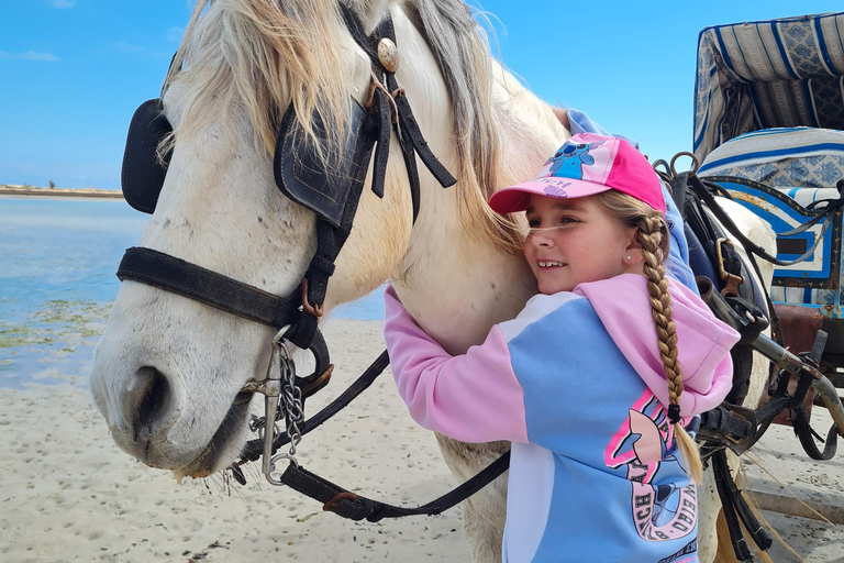 Djerba: Sunset Carriage Ride to Flamingo Island Djerba: Sunset Carriage Ride to Pink Flamingo Island