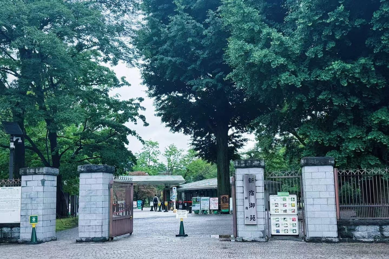 Tokyo: Shinjuku Gyoen Garden Entry & Digital Tea House Guide