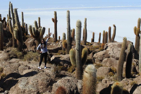 Depuis Uyuni : 3 jours de visite du Salar d&#039;Uyuni et de la réserve nationale