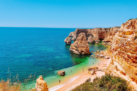 Albufeira - Benagil Caves & Dolphins Boat Tour with Transfer