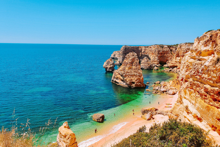 Albufeira - Benagil Caves & Dolphins Boat Tour with Transfer