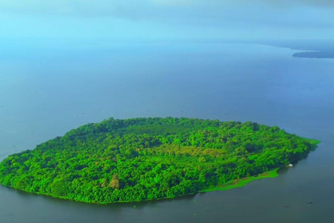 Kochi: Kumarakom Day Trip with Shikara Cruise & more