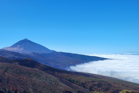 Teide National Park and Vilaflor; local wine tastingParc national du Teide et Vilaflor ; dégustation de vins locaux