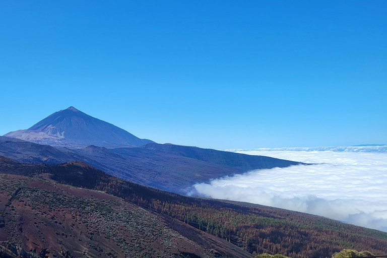 Teide National Park and Vilaflor; local wine tastingParc national du Teide et Vilaflor ; dégustation de vins locaux