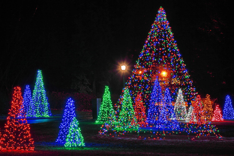 Desde Toronto: Excursión al Festival de Invierno de las Luces de las Cataratas del NiágaraRecorrido estándar con traslado