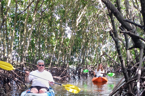 UZI ISLAND MANGROVE CONSAVATION WITH KAYAK TOUR PRIVATE TOUR WITH TRANSFER INCLUDED