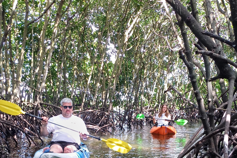 UZI ISLAND MANGROVE CONSAVATION WITH KAYAK TOUR PRIVATE TOUR WITH TRANSFER INCLUDED