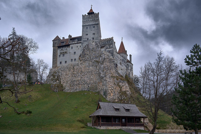 Private DayTrip Bucharest: Brașov, Dracula, Bear Sanctuary