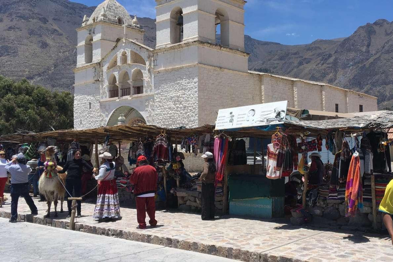 From Arequipa: Colca Canyon Day Trip with Buffet Meals