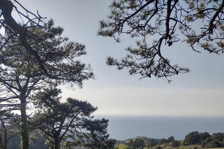 Hidden Heritage: Ultimate Basque Country Off-Road Odyssey