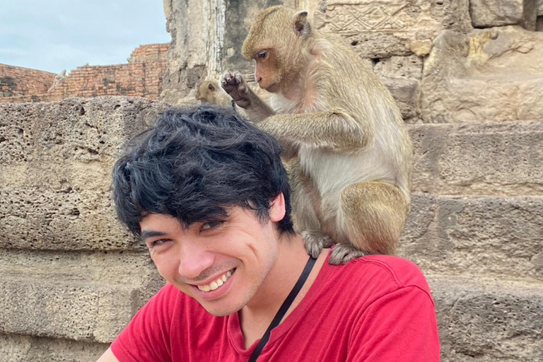 From Bangkok: Monkey Lopburi and Ayutthaya Day Trip