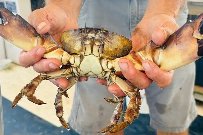 Charleston: Blue Crabbing Excursion with Crab Boil