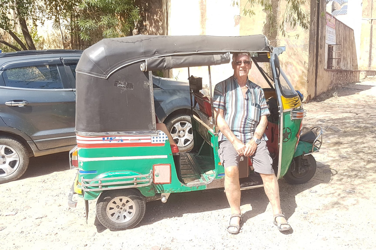 Delight 2 Days Pink City Jaipur Sightseeing Tour By TukTuk Tour by TukTuk with Driver