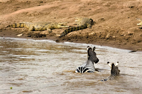 Arusha: Highlights & Foothills of Mount Kilimanjaro Tour Tarangire, Ngorongoro, Kilimanjaro National Park 4 Days Tour
