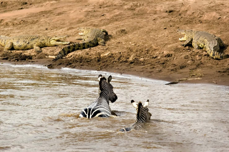Arusha: Highlights & Foothills of Mount Kilimanjaro Tour Tarangire, Ngorongoro, Kilimanjaro National Park 4 Days Tour