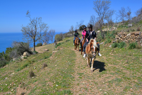 Alanya: Paardrijden Club Transfer ServiceVoor Alanya Centrum Oba Mahmutlar Locatie