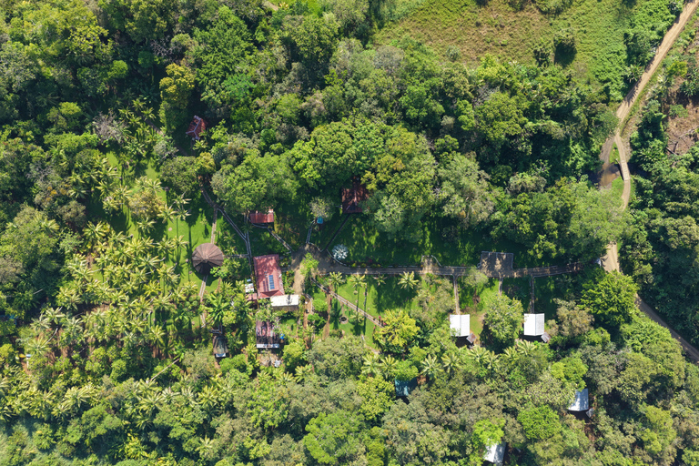 Osa Peninsula: 3-Nights in Costa Rica's Wild Rainforest