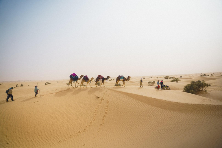 Douz Sahara: Trek and Yoga in a Nomadic Bivouac Douz Sahara: trek and yoga in a nomadic bivouac