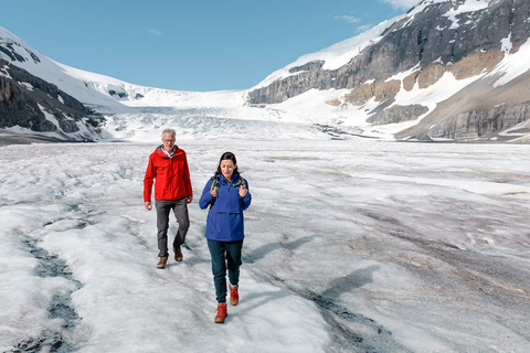 Calgary: Columbia Icefield & Bow Lake & Peyto Lake With Ice Explorer Adventure Ticket (Recommended)