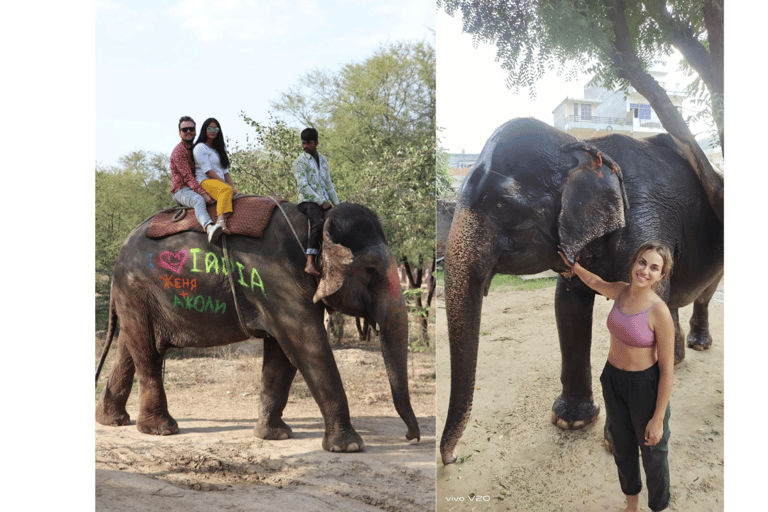 2 dias de city tour em Jaipur: Descobre a Cidade Rosa com taxas