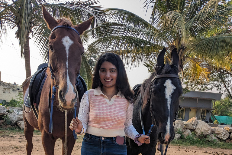 Bangalore: Horse Riding Safari Tour