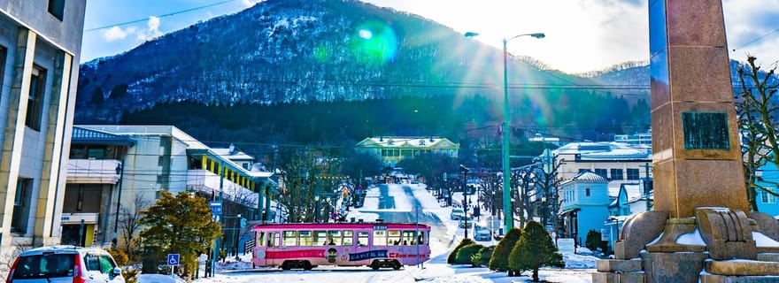 Hakodate : visite privée en taxi avec vues pittoresques