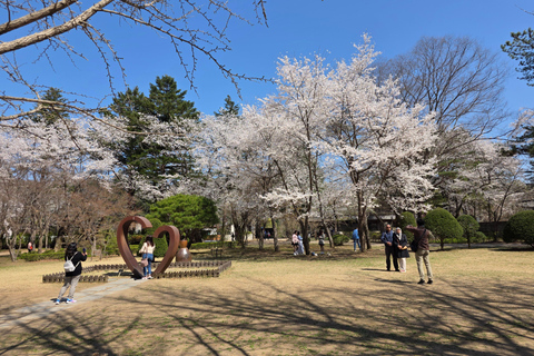 Seoul: Hallyu Nami Island Day Trip with romantic Train