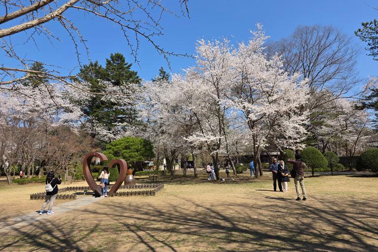 Seoul: Hallyu Nami Island Day Trip with romantic Train