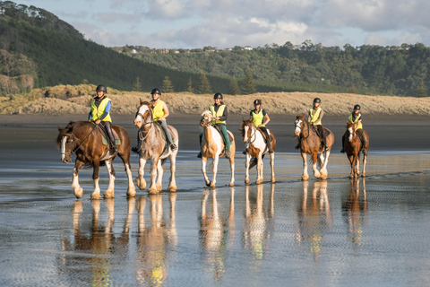 Muriwai Beach 2-Hour Horse Trek Experience