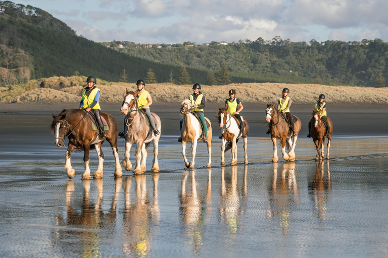 Muriwai Beach 2-Hour Horse Trek Experience