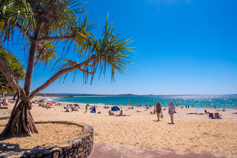 Visite privée VIP de Noosa Heads et des marchés d&#039;Eumundi au départ de BrisbaneCircuit + prise en charge à l&#039;aéroport ou au terminal de croisière de Brisbane