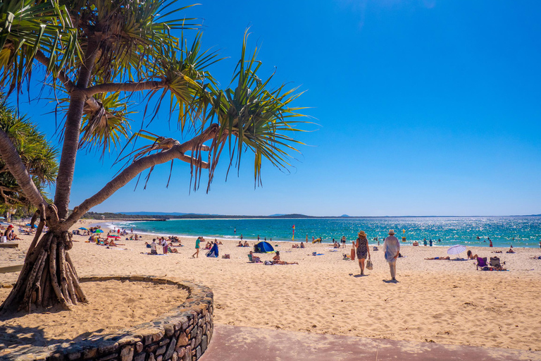 Visite privée VIP de Noosa Heads et des marchés d&#039;Eumundi au départ de BrisbaneCircuit + prise en charge à l&#039;aéroport ou au terminal de croisière de Brisbane