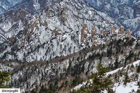 From Seoul: Mt Seoraksan, Naksansa Temple, Sokcho Beach Tour Private Tour – Per Person