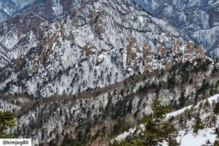 From Seoul: Mt Seoraksan, Naksansa Temple, Sokcho Beach Tour Private Tour – Per Person