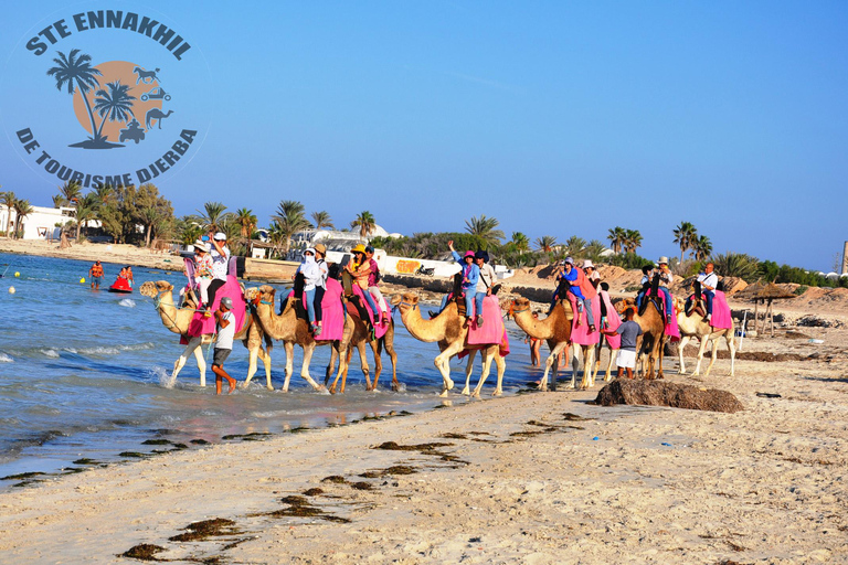 Djerba - en kamelritt Kamelridning till den blå lagunen vid solnedgången