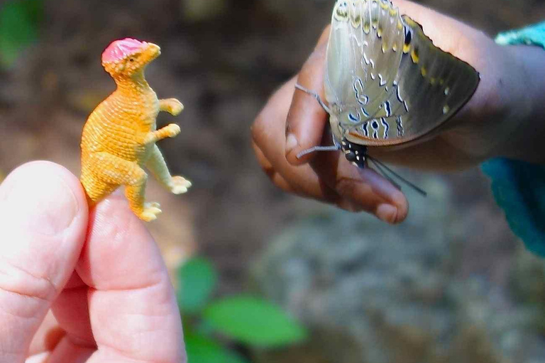 ZANZIBAR; Jozan-Wald, Schmetterlinge und Besuch im Dorf pete