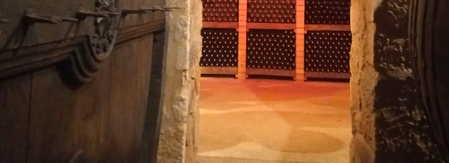 LAMEGO: Vallée du Douro et Histoire de la ville 6H