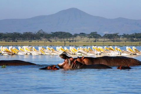 Excursion d'une journée au lac Naivasha (Hells Gate) avec promenade en bateau