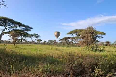 Da Nairobi: Safari economico di 6 giorni nel Masai Mara