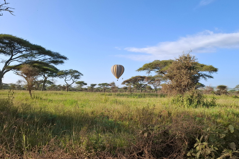 Da Nairobi: Safari economico di 6 giorni nel Masai Mara
