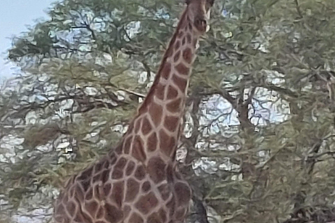 From Swakopmund: Budget Sossusvlei Guided 2-Day Trip