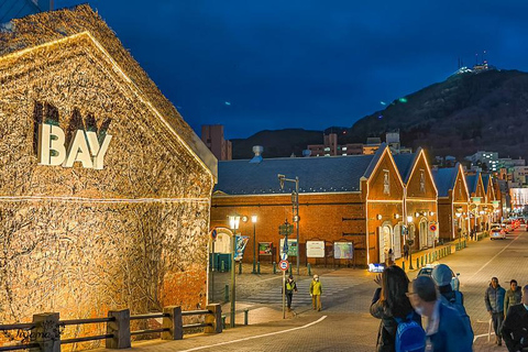 Sapporo: Private 2-Day Lake Toya & Hakodate Tour with Hotel