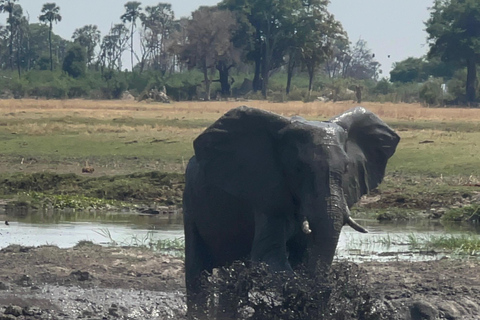 Okavango : Moremi Game Reserve Guided Safari Adventure