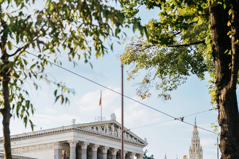 Passeio particular de meio dia pela cidade de Viena, incluindo o Palácio de Schönbrunn