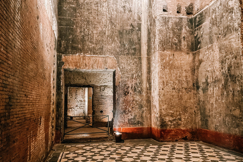 Rome: Domus Aurea Guided Tour and Virtual Reality Experience