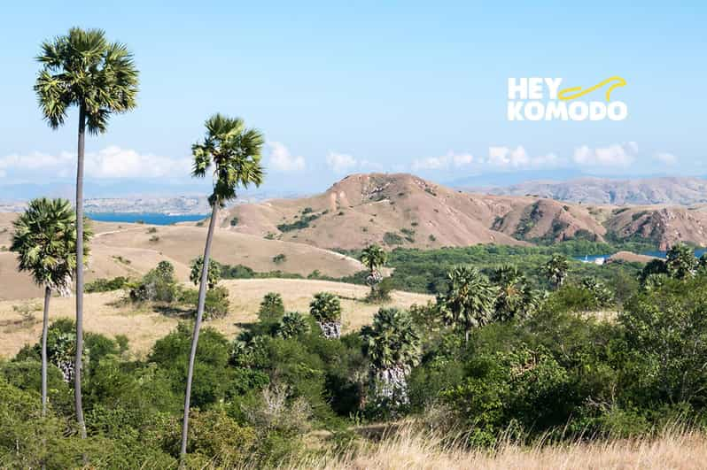 Labuan Bajo: Excursión En Lancha Rápida Por Los 6 Lugares De La Isla De ...