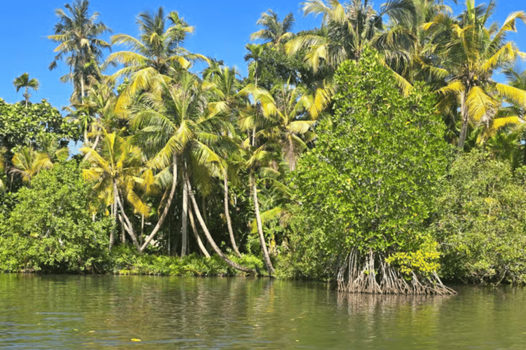 Koggala: Authentic Experience with Cinnamon Girl Koggala Cinnamon Experience with pickup from Ahangama