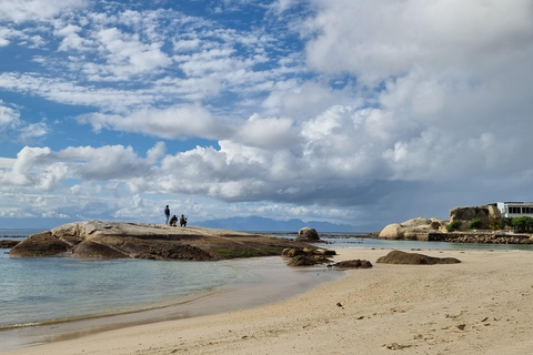 Luxury Cape of Good Hope & Penguin Tour