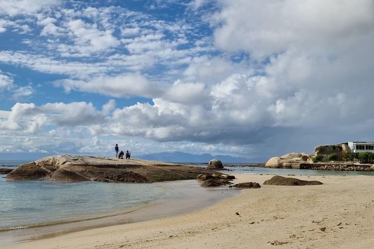 Luxury Cape of Good Hope & Penguin Tour
