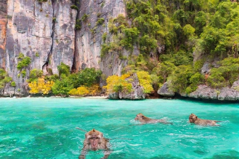 Krabi: Exclusive Phi Phi Islands Private Speedboat Tour